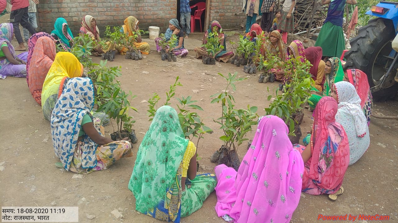 Multi-purpose-Planting Campaign-Vaagdhara-Banswara-4