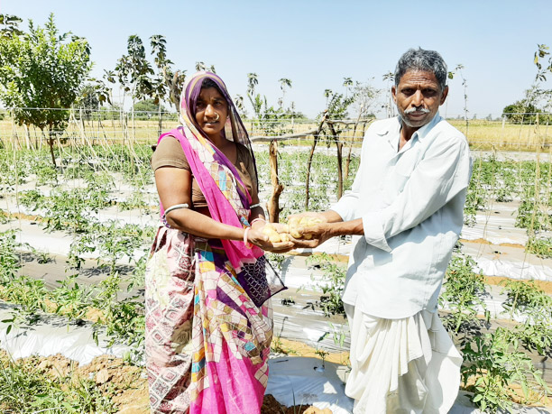 Horticulture-Training-Changed-Kanubhais-Life