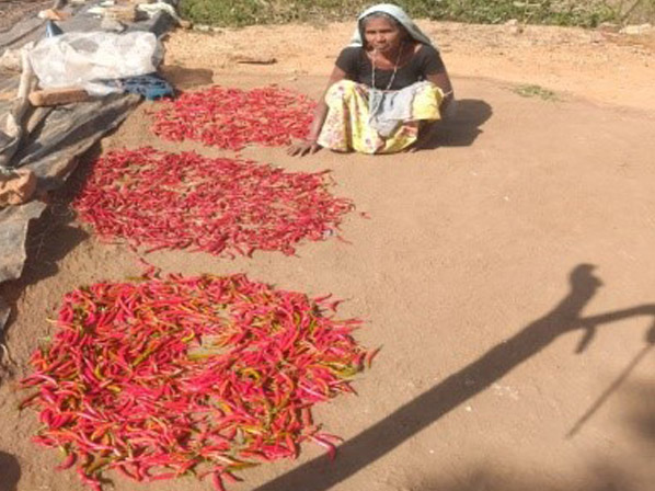 This is how Women of Bhima Ka Kheda village zeroed market dependency