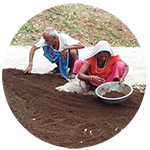 icon-soil-sovereignty-true-farming