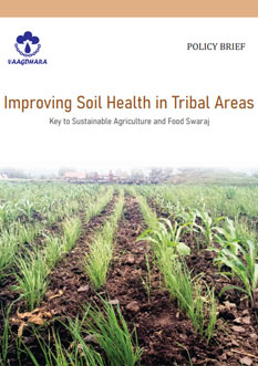 Improving-Soil-Health-in-Tribal-Areas-Publications-Vaagdhara
