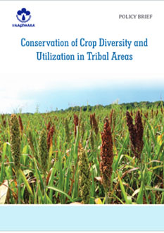 conversion-of-crop-diversity-and-utilization-in-tribal-areas