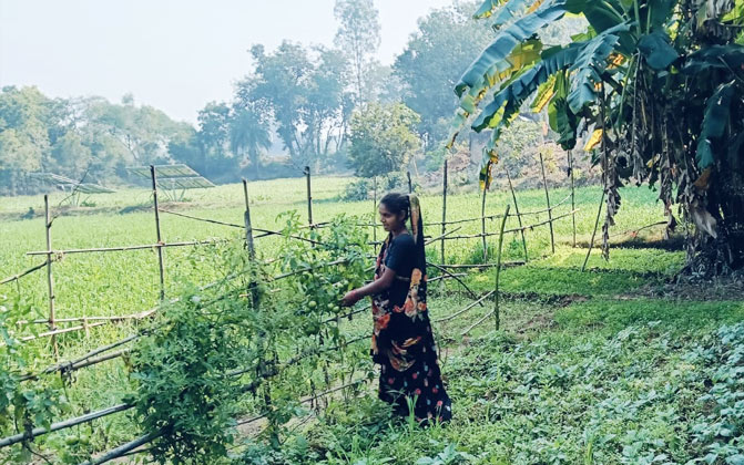 sse-project-slider-1