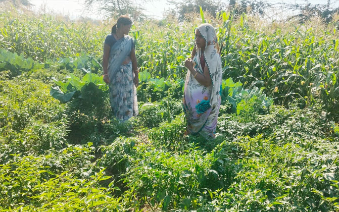 sse-project-slider-2