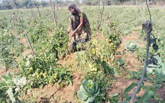 sse-project-slider-3